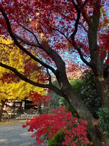 高円寺(東京都)