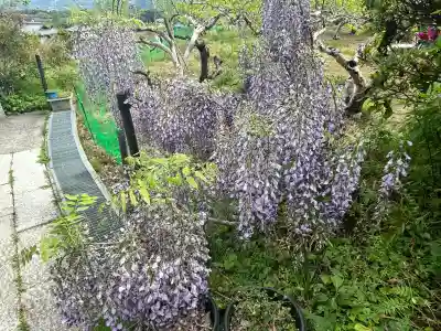 子安地蔵寺(和歌山県)