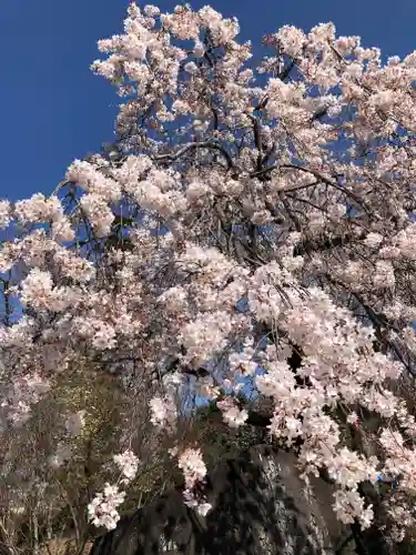 境香取神社の自然