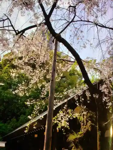 乃木神社(東京都)