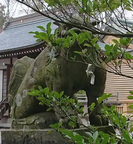 朝日森天満宮の狛犬