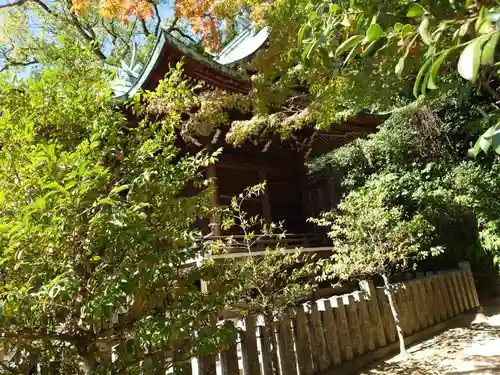 草津八幡宮の建物その他