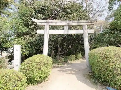 白堤神社の鳥居