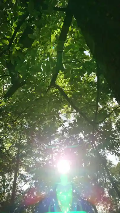 備中国總社(岡山県)