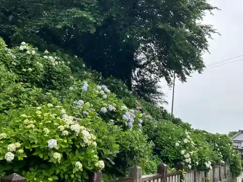 粟井神社(香川県)