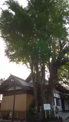 登渡神社(千葉県)