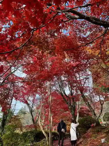 石道寺の{uncategorized: "未分類", other: "その他", undefined: "問題あり", building: "その他建物", grave: "お墓", sacred_gate: "鳥居", guardian: "狛犬", statue: "像", buddha: "仏像", history: "歴史", nature: "自然", garden: "庭園", animal: "動物", pagoda: "塔", temizu: "手水舎", mountain_gate: "山門・神門", sanctuary: "本殿・本堂", subordinate: "末社・摂社", art: "芸術", scenery: "景色", jizo: "地蔵", ema: "絵馬", goshuin: "御朱印", omikuji: "おみくじ", items: "授与品その他", amulet: "お守り", goshuincho: "御朱印帳", eats: "食事", festival: "お祭り", votive_dance: "神楽", shichigosan: "七五三参", wedding: "結婚式", experience: "体験その他", initially: "初詣", around: "周辺", anti_infection: "感染症対策"}