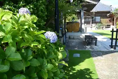 福泉寺(神奈川県)