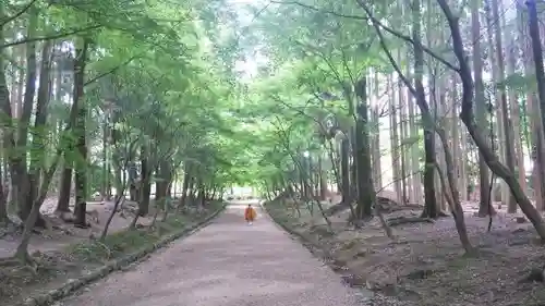 醍醐寺のその他建物