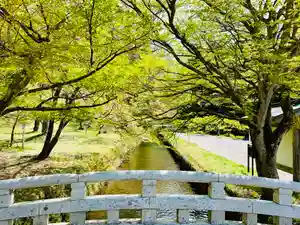 土津神社|こどもと出世の神さまの自然(2020年05月05日(火) 13時43分58秒投稿)