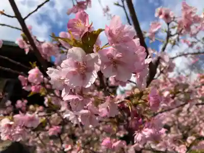 霊山寺(静岡県)