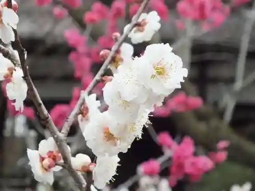 石山寺(滋賀県)
