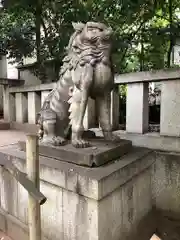 渋谷氷川神社の狛犬