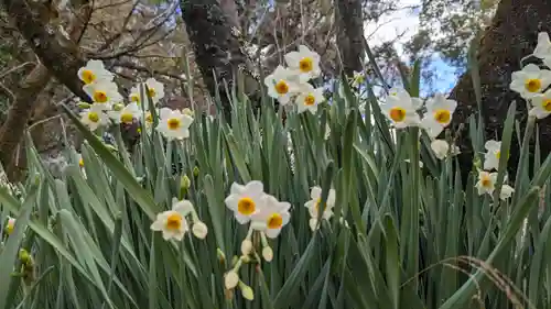 平野神社(京都府)