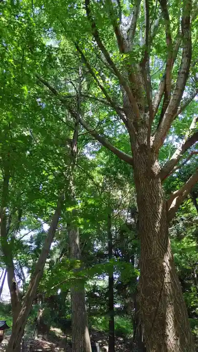 下総国三山 二宮神社(千葉県)