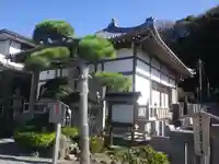 来迎寺(材木座)の本殿・本堂