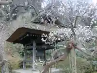 東慶寺のその他建物