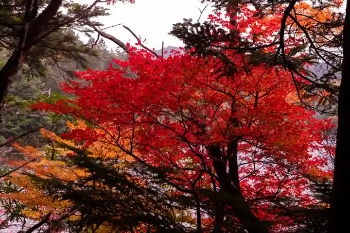 大瀧神社(長野県)