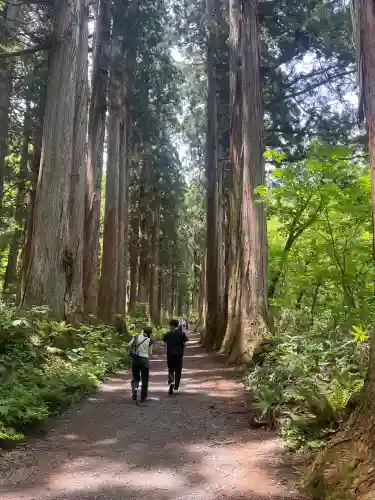 戸隠神社奥社(長野県)