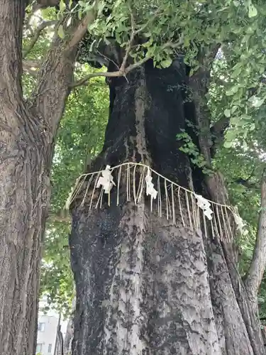 飛木稲荷神社(東京都)