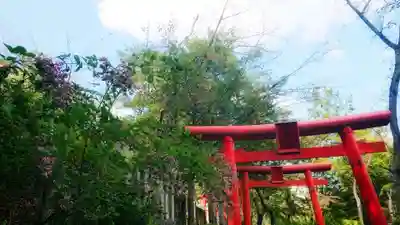 岐阜稲荷山本社の鳥居