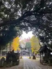 雀神社(茨城県)