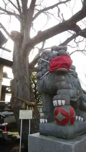 豊平神社の狛犬