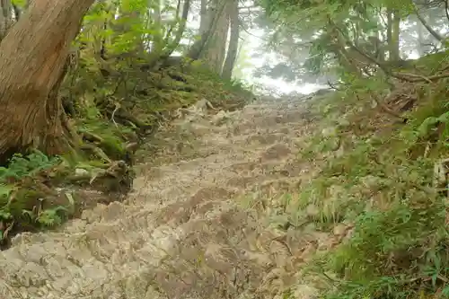 大峯山寺の自然