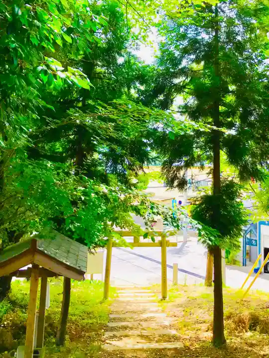 浅間神社の鳥居
