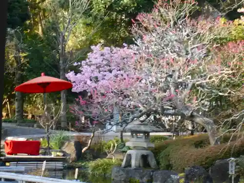 長谷寺の庭園