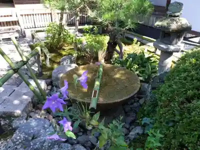 圓光寺(京都府)