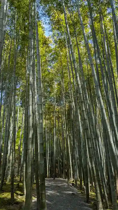 圓光寺(京都府)