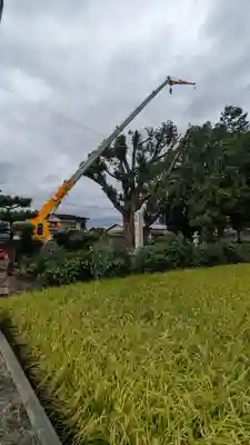 玉田神社(京都府)