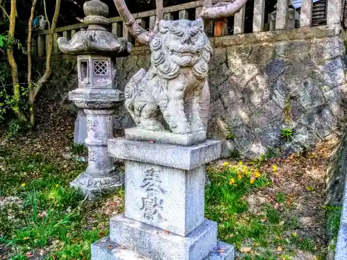 津島神社の狛犬