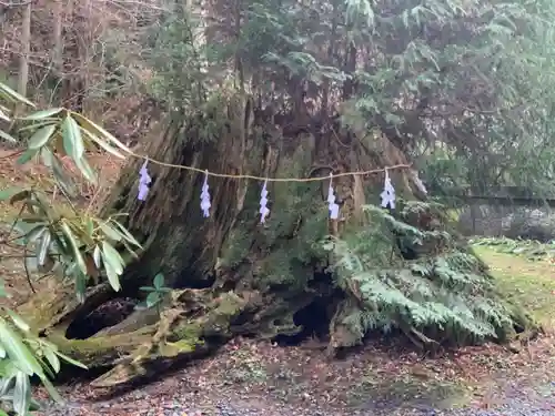 御岩神社の自然