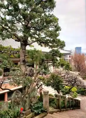 東長谷寺　薬王院(東京都)
