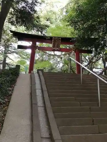 氷川女體神社の鳥居