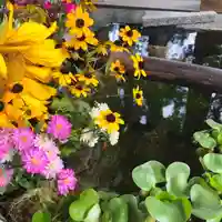 高司神社〜むすびの神の鎮まる社〜の自然
