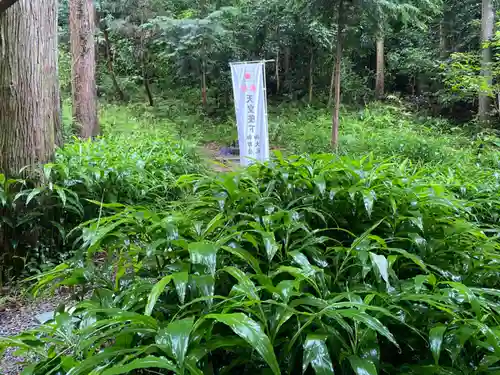 愛宕神社の自然