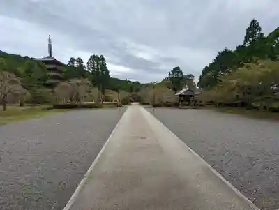 醍醐寺(京都府)