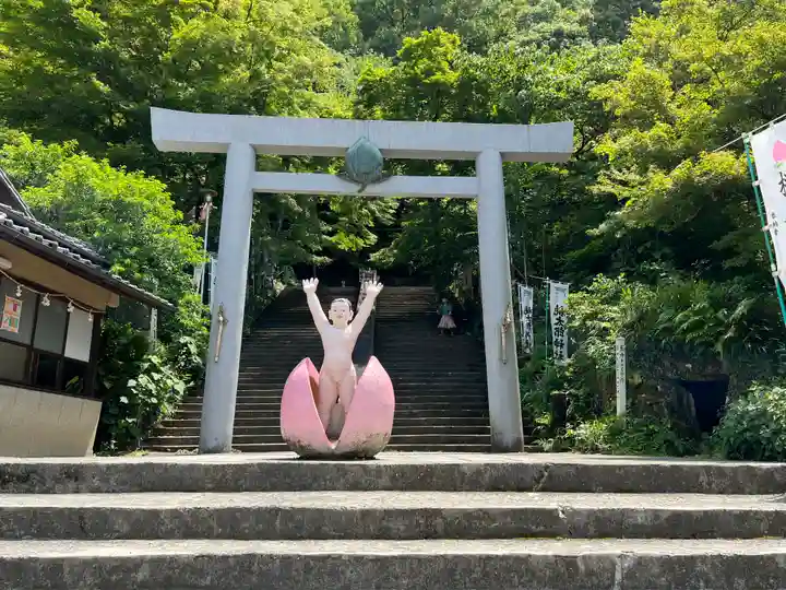 桃太郎神社(栗栖)の鳥居