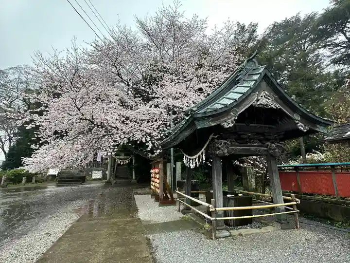 前玉神社(埼玉県)
