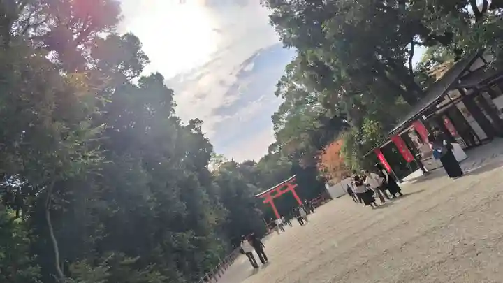 賀茂御祖神社(下鴨神社)(京都府)