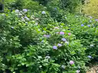 大縣神社の自然