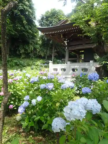 妙楽寺(神奈川県)