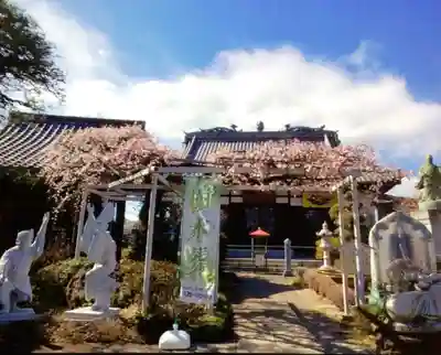 長善寺(東京都)