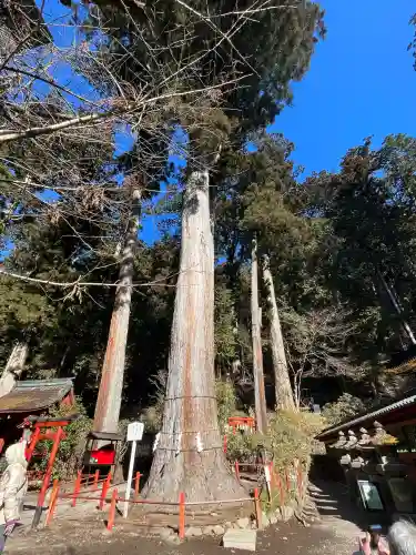 日光二荒山神社の{uncategorized: "未分類", other: "その他", undefined: "問題あり", building: "その他建物", grave: "お墓", sacred_gate: "鳥居", guardian: "狛犬", statue: "像", buddha: "仏像", history: "歴史", nature: "自然", garden: "庭園", animal: "動物", pagoda: "塔", temizu: "手水舎", mountain_gate: "山門・神門", sanctuary: "本殿・本堂", subordinate: "末社・摂社", art: "芸術", scenery: "景色", jizo: "地蔵", ema: "絵馬", goshuin: "御朱印", omikuji: "おみくじ", items: "授与品その他", amulet: "お守り", goshuincho: "御朱印帳", eats: "食事", festival: "お祭り", votive_dance: "神楽", shichigosan: "七五三参", wedding: "結婚式", experience: "体験その他", initially: "初詣", around: "周辺", anti_infection: "感染症対策"}