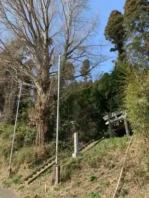 大椎八幡神社(千葉県)