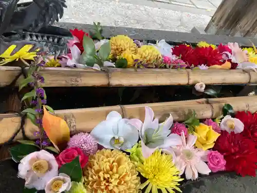 札幌護國神社の手水