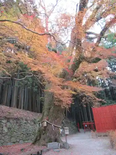 談山神社(奈良県)